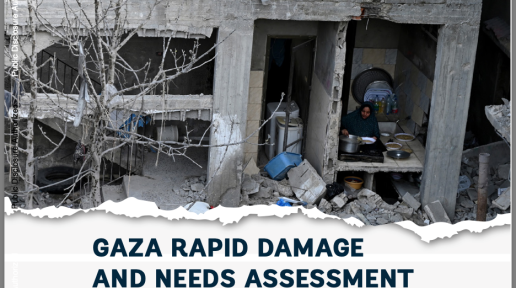 Gaza Rapid Damage And Needs Assessment